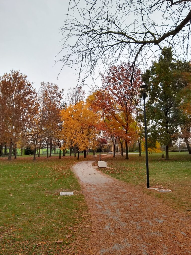 percorso di un parco con alberi gialli e rossi